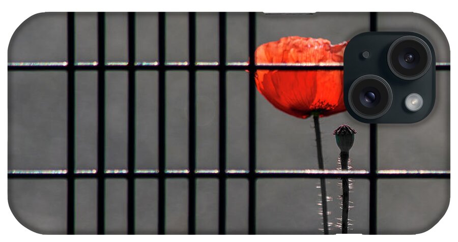 Poppy iPhone Case featuring the photograph Square - Imprisoned Poppy by Stuart Allen