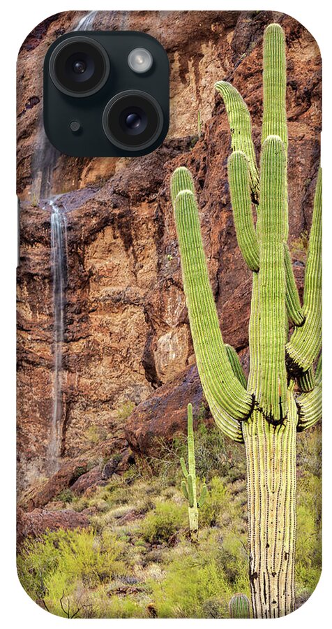 Artistic iPhone Case featuring the photograph In a Dry and Thirsty Land by Rick Furmanek