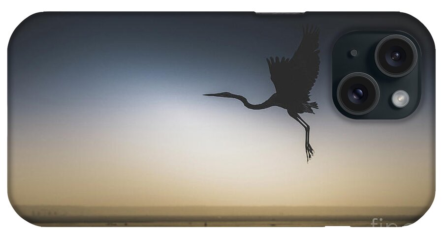 Bird iPhone Case featuring the photograph In Flight by Dheeraj Mutha