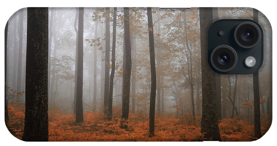 In Foggy Stillness iPhone Case featuring the photograph In Foggy Stillness by Rachel Cohen