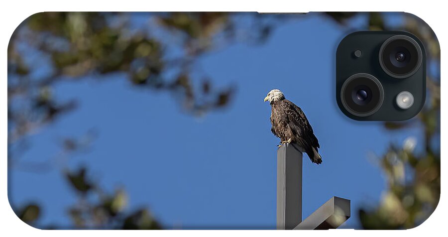 Eagle iPhone Case featuring the photograph In God We Trust by JASawyer Imaging