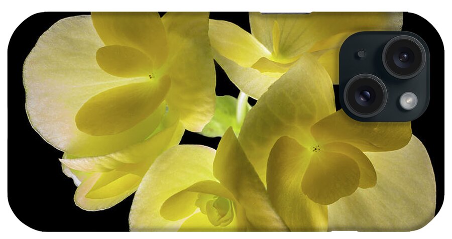 Backlight iPhone Case featuring the photograph In Search Of by Kevin Suttlehan