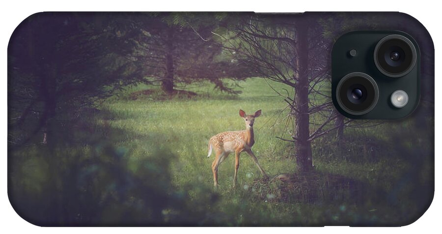Carrie Ann Grippo-pike iPhone Case featuring the photograph In the Clearing at Dusk by Carrie Ann Grippo-Pike