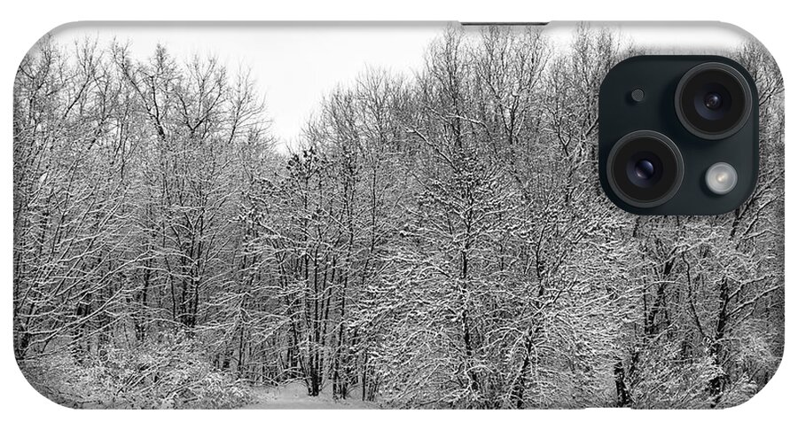 Winter iPhone Case featuring the photograph In the depth of winter, within me there lay an invincible summer 03 by Leonida Arte