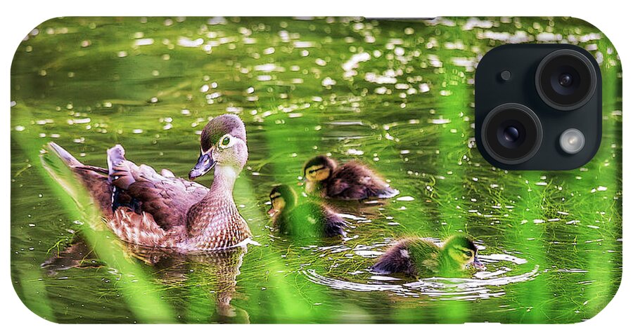 Wood Ducks iPhone Case featuring the photograph In the pond by Tatiana Travelways