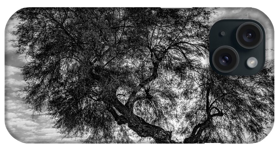 Scene iPhone Case featuring the photograph In the shade of a large tree by The P