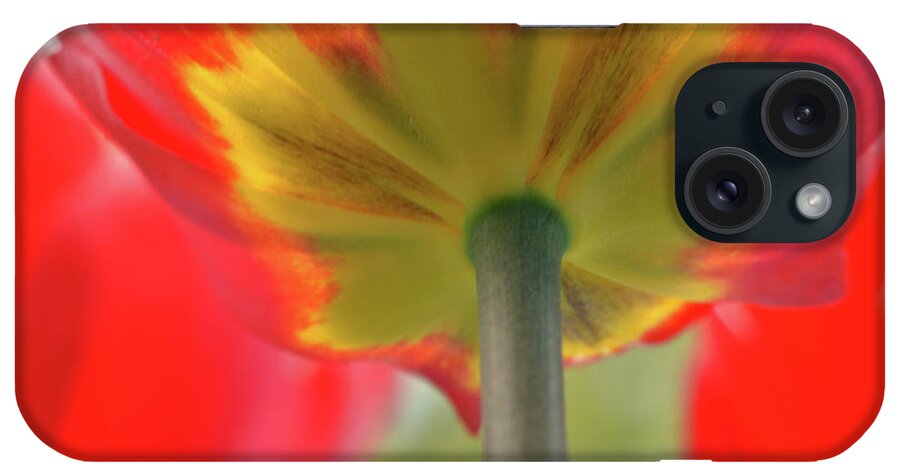 Tulip iPhone Case featuring the photograph In the shade of a Tulip by Elaine Berger