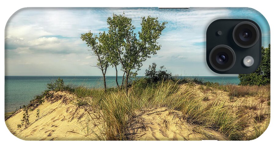 Indiana iPhone Case featuring the photograph Indiana Dunes State Park Beauty by Joseph S Giacalone