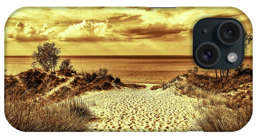Indiana iPhone Case featuring the photograph Indiana Dunes State Park Golden Tone by Joseph S Giacalone
