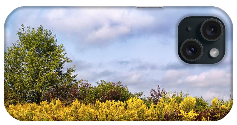 Fall iPhone Case featuring the photograph Infinite Gold Sunlight Landscape by Christina Rollo