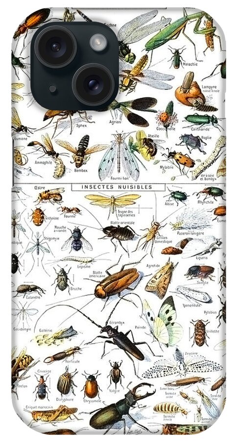 Painting iPhone Case featuring the drawing Insectes by Adolphe Millot