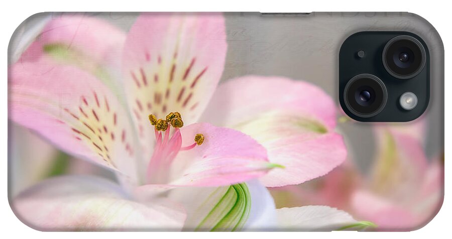 Flower iPhone Case featuring the photograph Inspirational Alstroemeria by Teresa Wilson