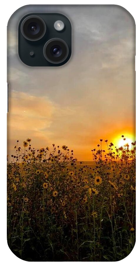 Iphonography iPhone Case featuring the photograph iPhonography Sunset 3 by Julie Powell