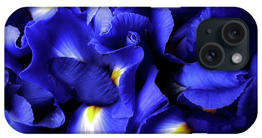  Iris iPhone Case featuring the photograph Iris Abstract by Jessica Jenney