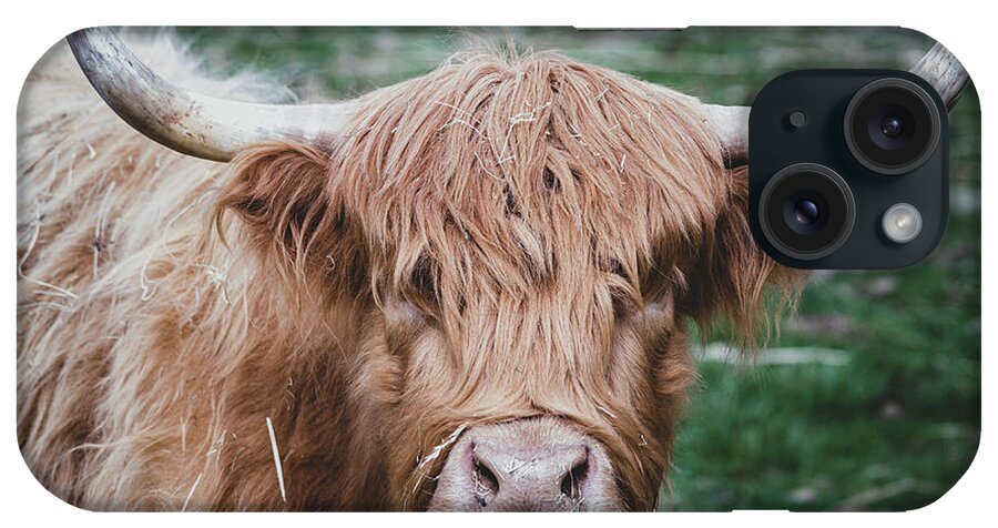 Cow iPhone Case featuring the photograph Is There Something in My Teeth by Rose Guinther