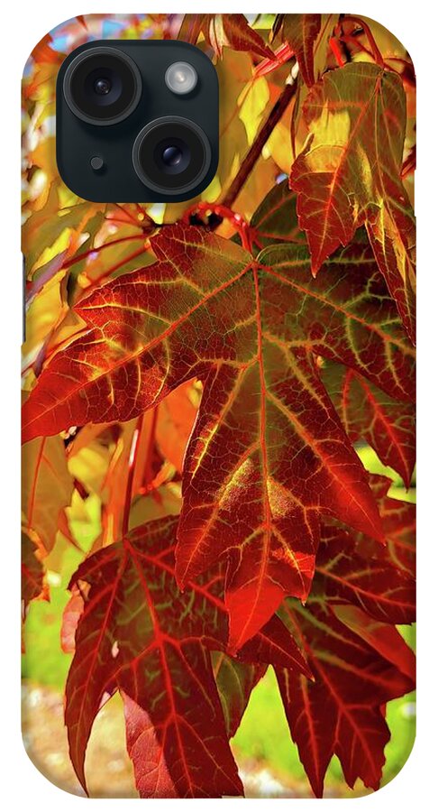 Leaves iPhone Case featuring the photograph It Is Time by Roberta Byram