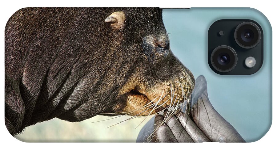 Scratch iPhone Case featuring the photograph Itch by Jon Exley