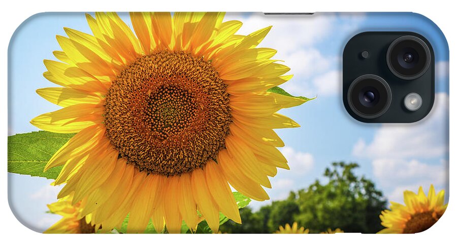 2017 iPhone Case featuring the photograph It's a Beautiful Day by Gerri Bigler