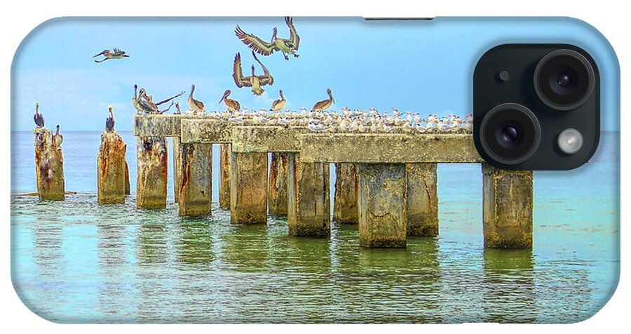 Florida iPhone Case featuring the photograph its a Florida vacation by Alison Belsan Horton