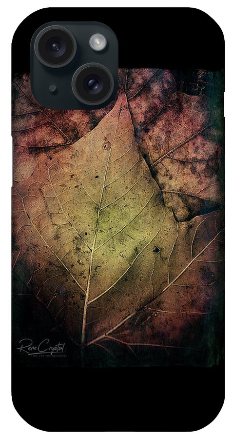 Leaves iPhone Case featuring the photograph It's All In The Details, Baby by Rene Crystal