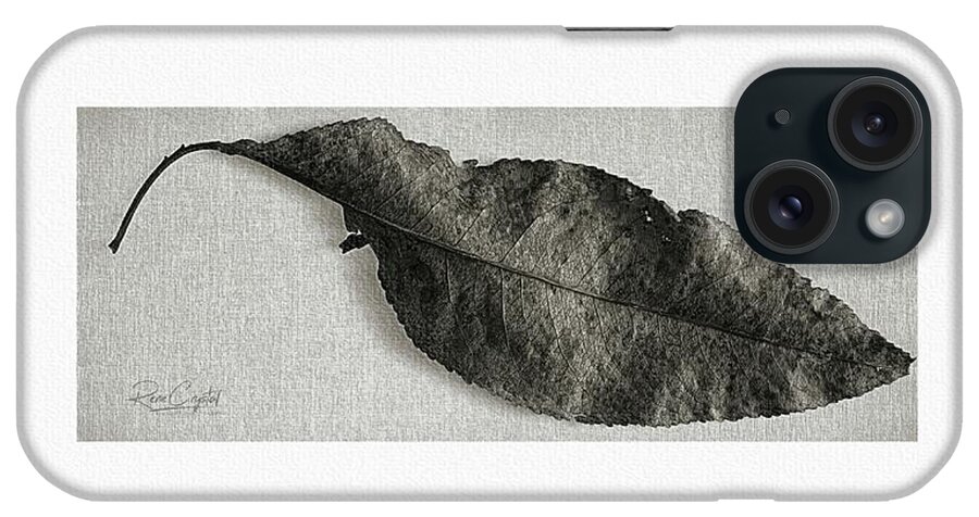 Leaf iPhone Case featuring the photograph It's All In The Details No.2 by Rene Crystal