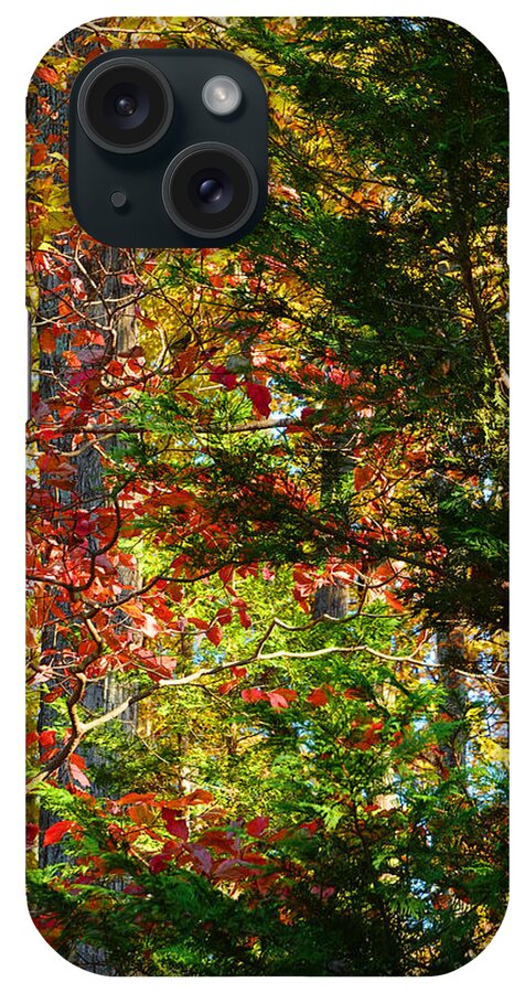 Colorful iPhone Case featuring the photograph It's So Easy Being Green - A Piedmont Autumn Impression by Steve Ember