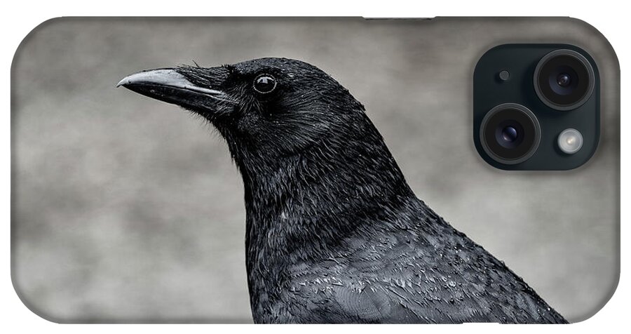 Crow iPhone Case featuring the photograph It's the same story the crow told me by Gary Kochel