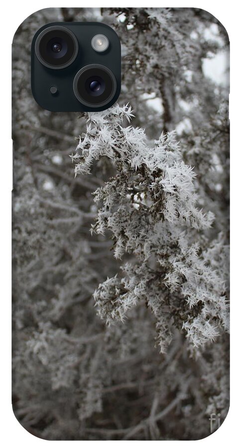 Frost iPhone Case featuring the photograph Jack Frost Was Here by Doug Miller