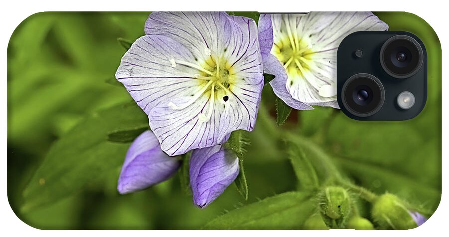 Flowers iPhone Case featuring the photograph Jacobs Ladder by Bob Falcone