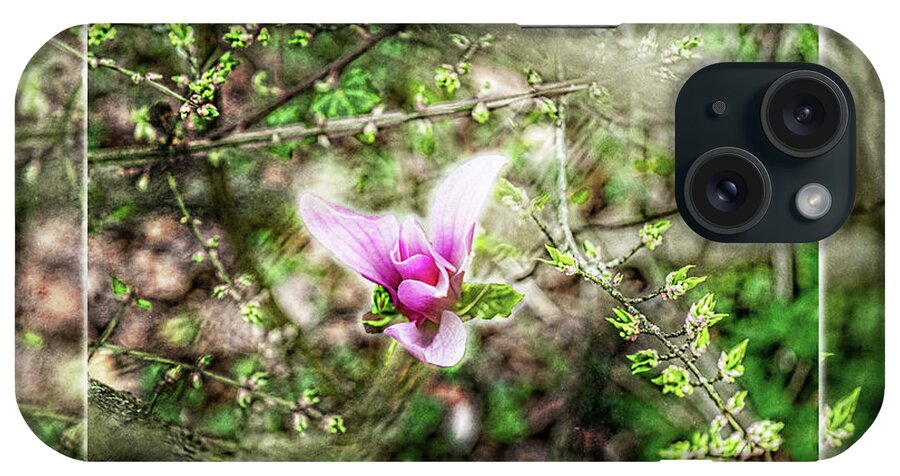 Magnolia Liliiflora iPhone Case featuring the photograph Jane Magnolia Pink flower by Sharon Popek