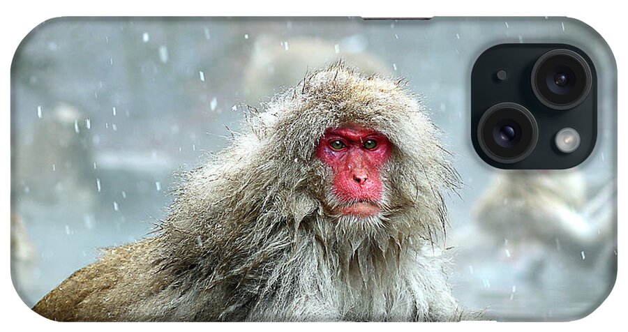  iPhone Case featuring the photograph Japan 48 by Eric Pengelly