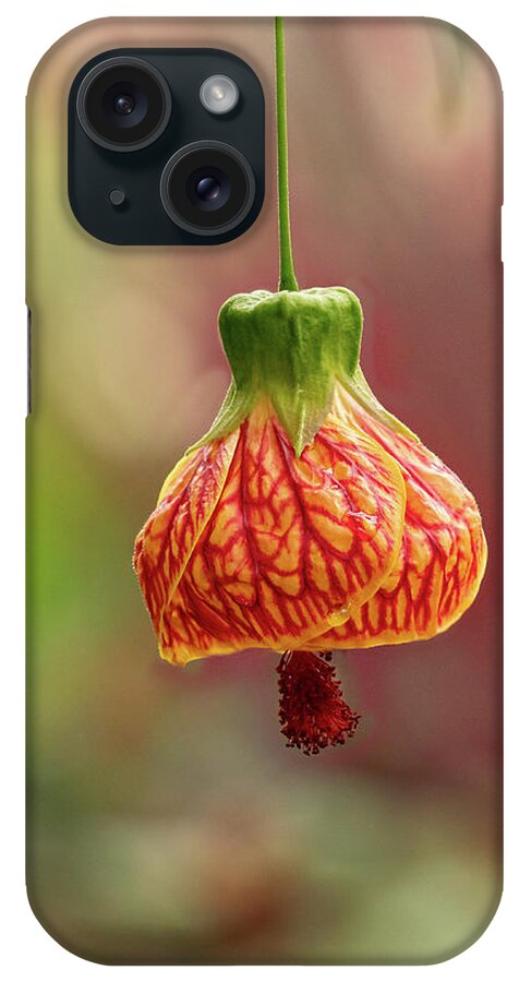 Flower iPhone Case featuring the photograph Japanese Latern by Mary Jo Allen