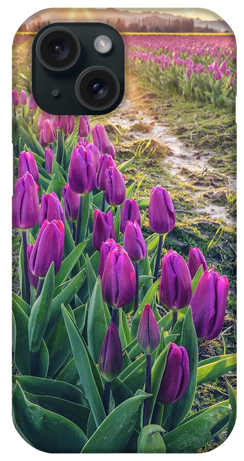 Tulips iPhone Case featuring the photograph Jewel Tone Tulips by Michael Rauwolf