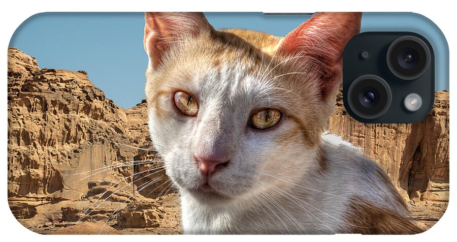 Cat iPhone Case featuring the photograph Jordanian Cat by Richard Goldman