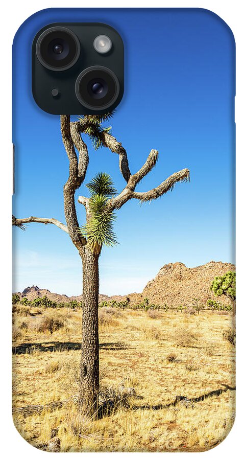 Landscapes iPhone Case featuring the photograph Joshua Tree-4 by Claude Dalley