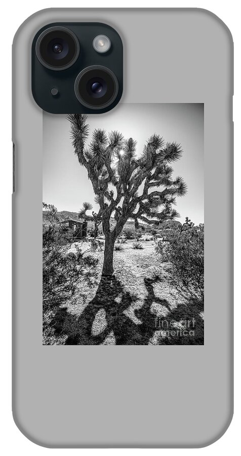 Joshua Tree B&w Sunstar iPhone Case featuring the photograph Joshua Tree BnW Sunstar by Daniel Hebard