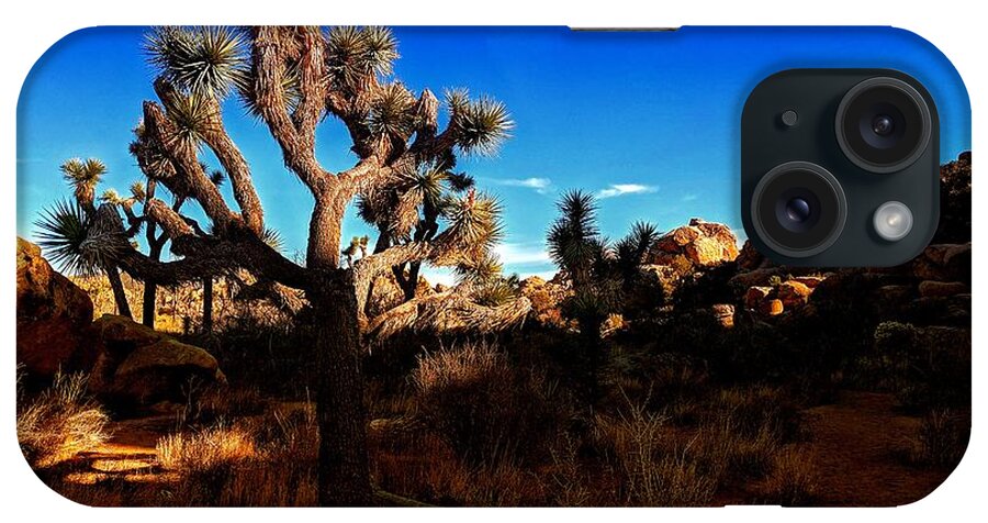 Joshua Tree iPhone Case featuring the photograph Joshua Tree by Dave Zumsteg