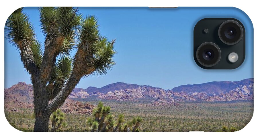 Joshua Tree iPhone Case featuring the photograph Joshua Tree - Panorama Trail 2020 4 by Lee Antle