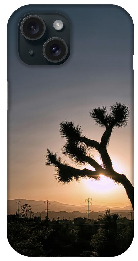 Desert iPhone Case featuring the photograph Joshua Tree Silhouette by Lisa Chorny