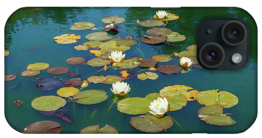 Water Lily iPhone Case featuring the photograph June Water Lilies on Pond by Bonnie Follett