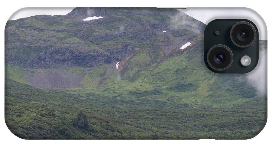 Alaska iPhone Case featuring the photograph Juneau Elevated Greenery by Ed Williams