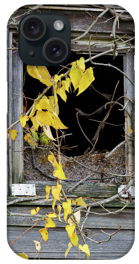 Old House iPhone Case featuring the photograph Just Hangin' by Steve Templeton
