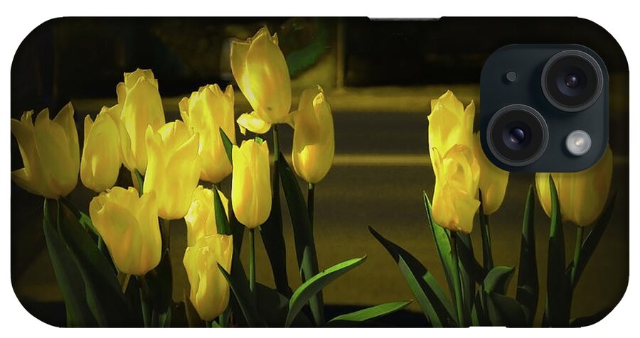 Tulips iPhone Case featuring the photograph Just Yellow by Elaine Teague