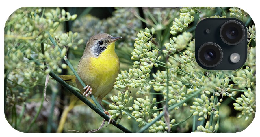 Kmaphoto iPhone Case featuring the photograph Juvenile Yellowthroat by Kristine Anderson