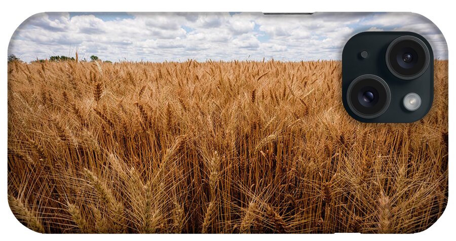 Great Plains iPhone Case featuring the photograph Kansas Wheat Field by Scott Bean