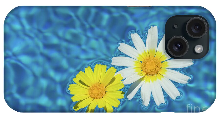 Daisies iPhone Case featuring the photograph Keep your sunny days by the pool by Adriana Mueller