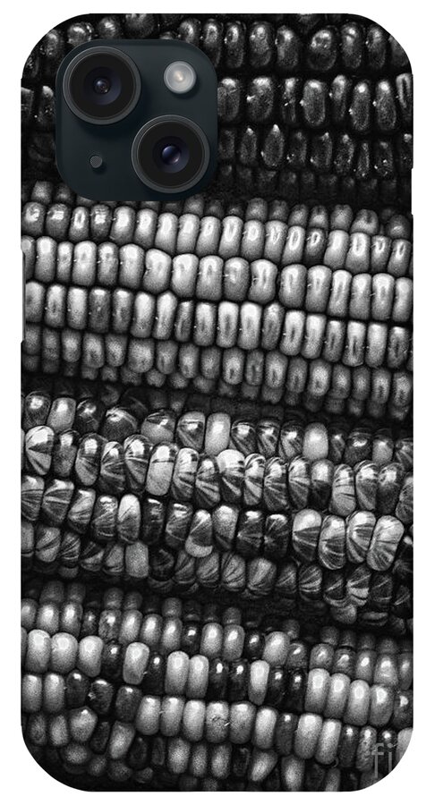 Indian Corn iPhone Case featuring the photograph Kernels of Corn by Phil Perkins