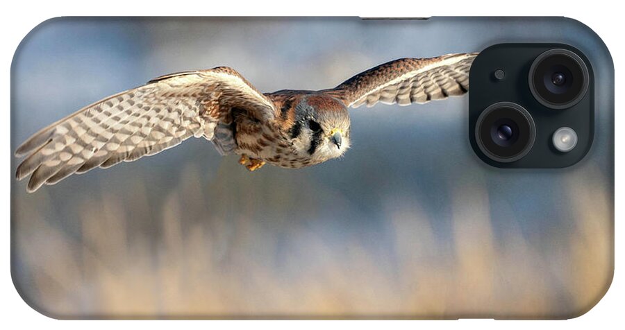 Kestrel iPhone Case featuring the photograph Kestrel on the Wing by Judi Dressler