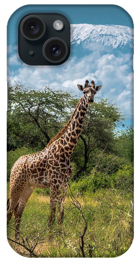 Africa iPhone Case featuring the photograph Kilimanjaro Giraffe by Eric Albright