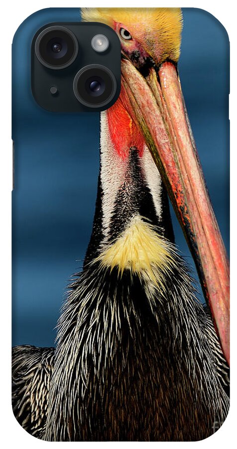 Birds iPhone Case featuring the photograph King Of The Coast by John F Tsumas